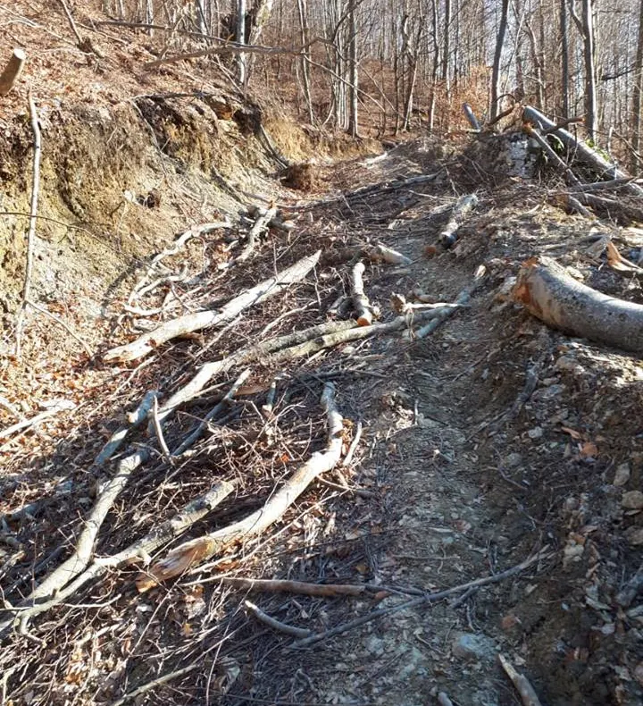 Peste 1100 pachete de țigări de contrabandă ridicate în urma unor percheziții în Brăila