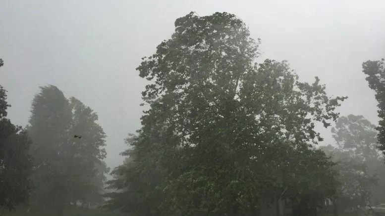 Avertizare meteo de vânt puternic în județul Brăila