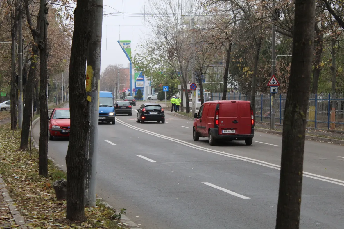 Trei brăileni surprinși de polițiști cu lemne de foc furate din Parcul Monument