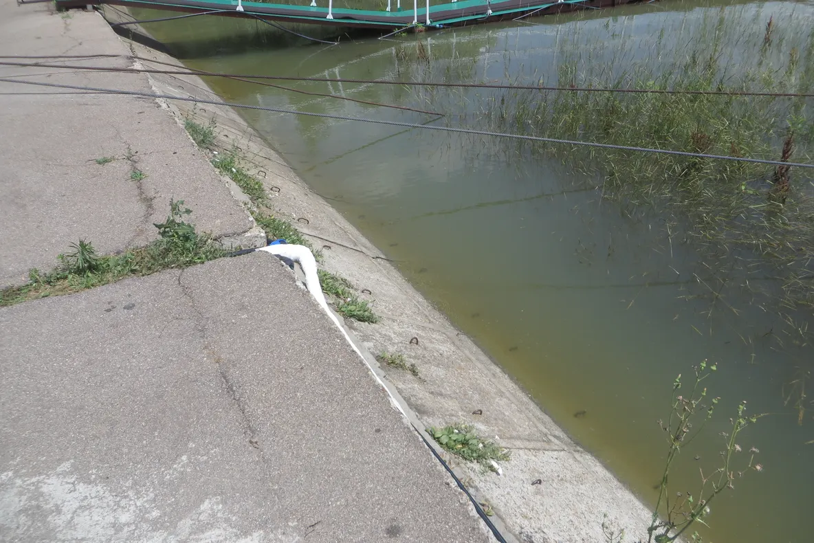 Dunărea este în scădere la Brăila, dar peste cota de inundație