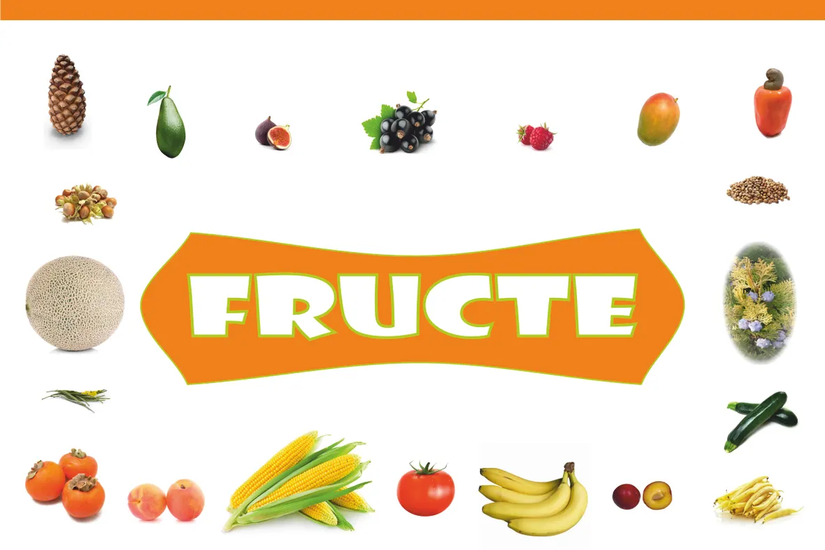Fotoexpoziție ”Fructe” la Secția „Științele Naturii” a Muzeului Brăilei „Carol I”