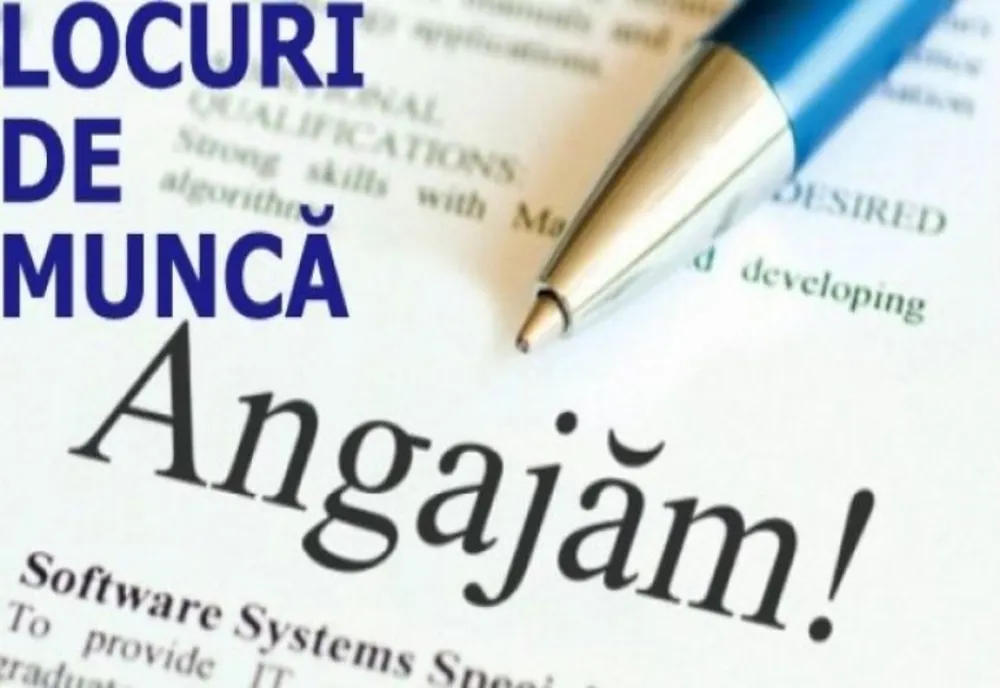 344 locuri de muncă vacante în județul Brăila