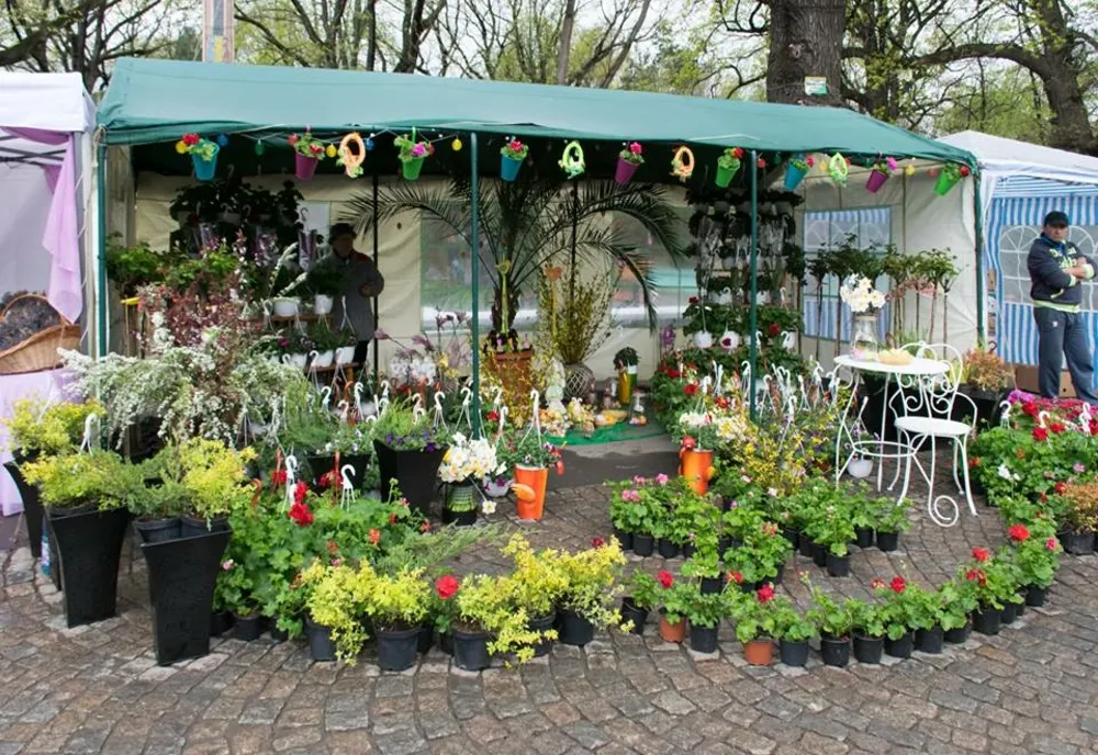 Expoziție Florală în Parcul Monument