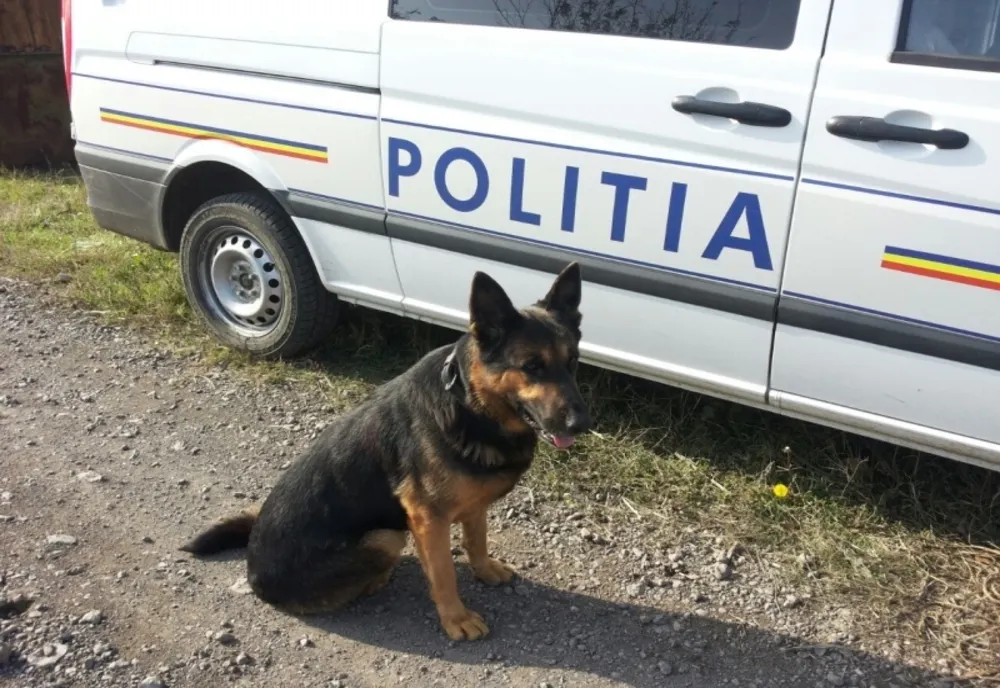 O mamă și cei 3 copii plecați de la domiciliu găsiți cu ajutorul unui câine de urmă de la IPJ Brăila