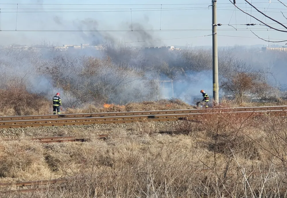 Pompierii de la ISU Brăila au intervenit pentru stingerea a nouă incendii de vegetație uscată 