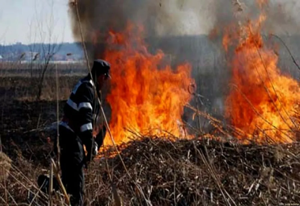 Șase incendii de vegetație de la începutul săptămânii 