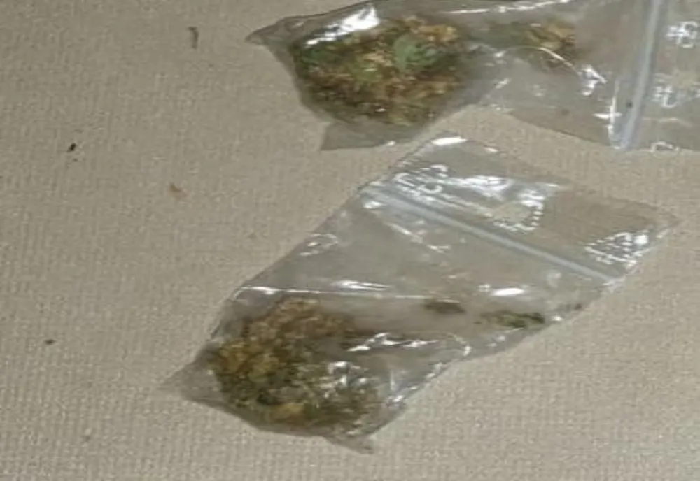 Brăilean depistat de jandarmi având în buzunar două pliculețe care conțineau o substanță vegetală de culoare verde