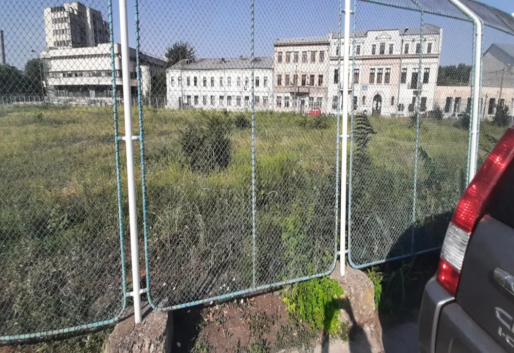 Poliția Locală Brăila a sancționat 6 persoane juridice și 8 persoane fizice care nu și-au curățat terenurile de ambrozie