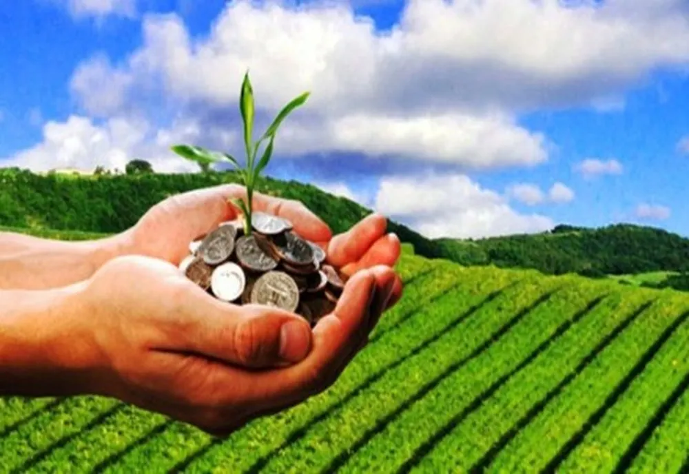 Cele mai multe terenuri agricole vândute în luna septembrie 2022 au fost în județele Galați, Buzău și Brăila