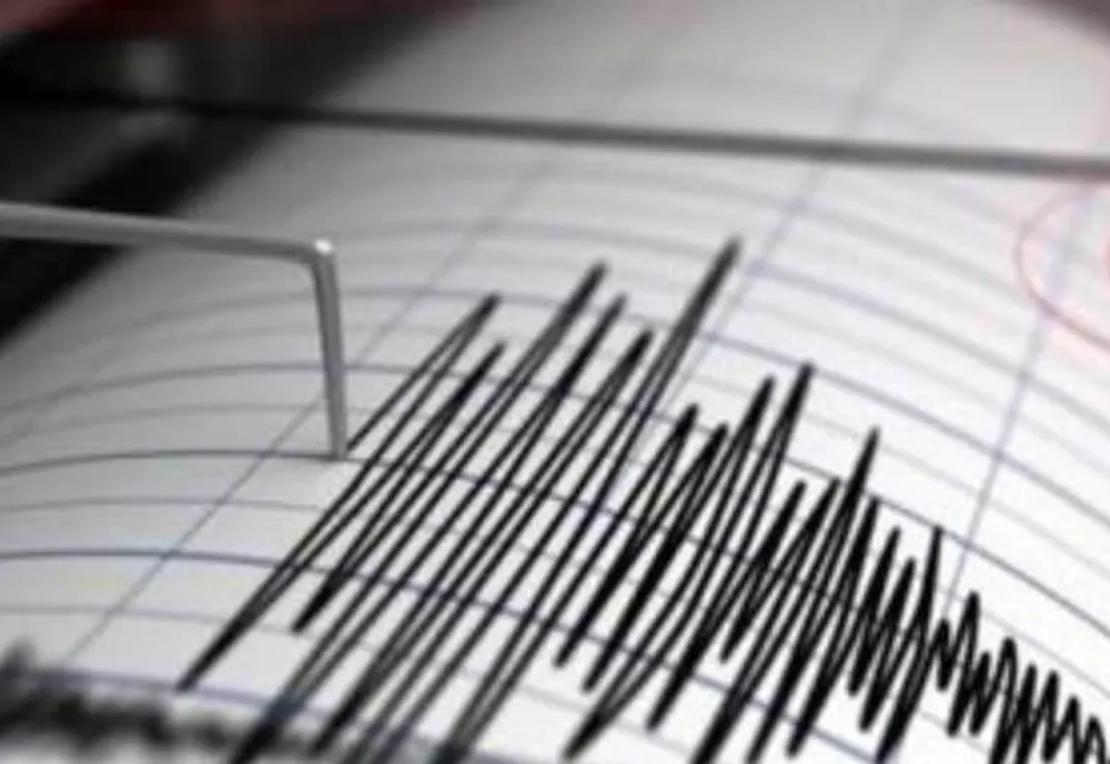 Un nou cutremur în România produs în zona seismică Vrancea, județul Buzău