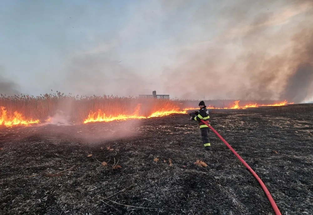 Patru incendii de vegetație uscată și două incendii la locuințe înregistrate în weekend în județul Brăila