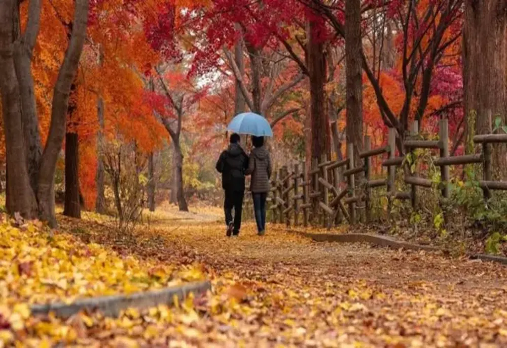 Vreme mohorâtă în mare parte din țară: ceață, ploi slabe și temperaturi modeste