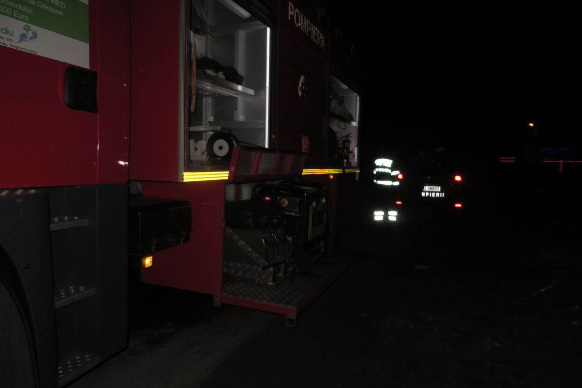 Doi câini și o pisică asfixiați într-un incendiu la o casă din cartierul Vidin