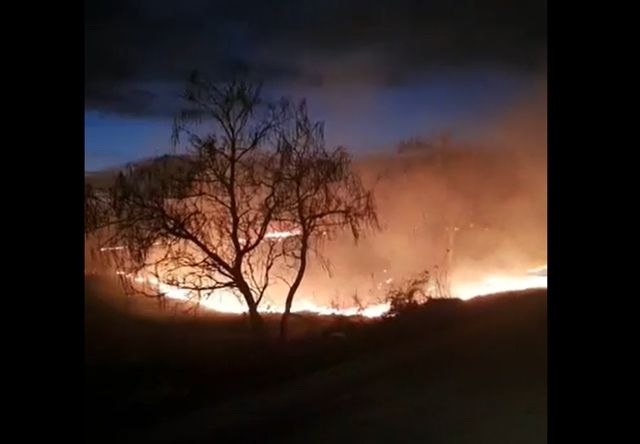 Incendiu de vegetație! Cetățenii s-au mobilizat și au ajutat pompierii la stingerea focului
