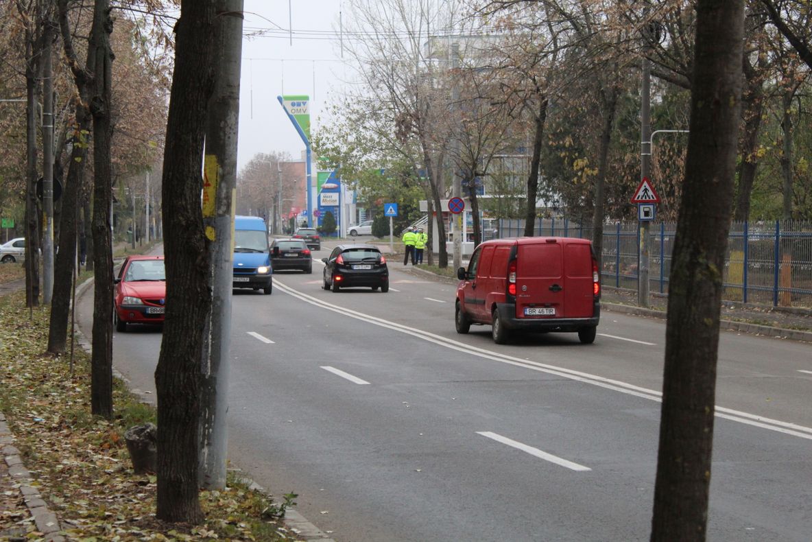 Trei brăileni surprinși de polițiști cu lemne de foc furate din Parcul Monument