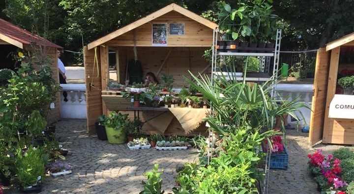 Agenții economici din Parcul Monument, verificați cu ocazia ”Festivalului Florilor de primăvară”