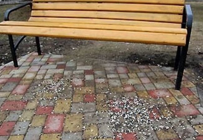 Spargi semințe pe stradă? Poliția Locală aplică amenzi usturătoare!