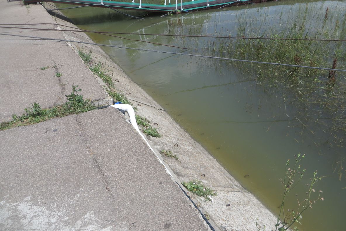 Dunărea este în scădere la Brăila, dar peste cota de inundație