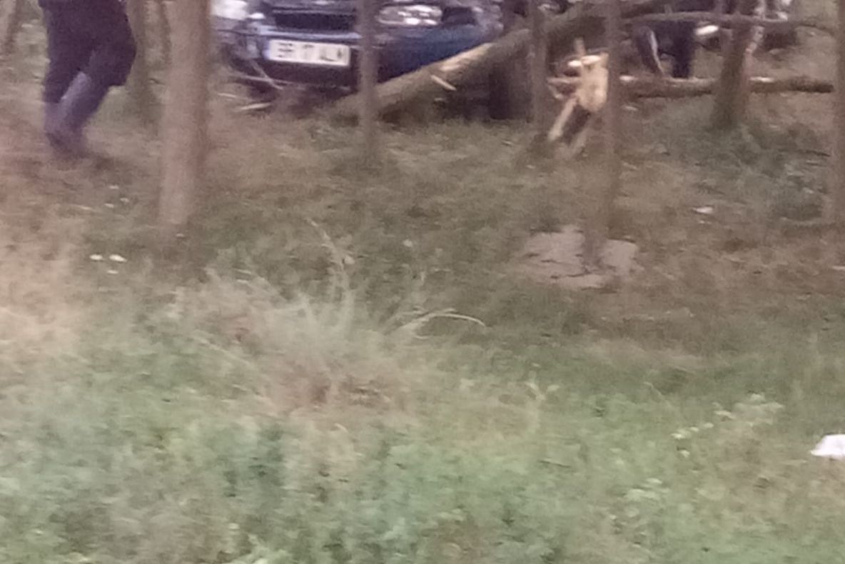 Un brăilean sub influența alcoolului a intrat cu mașina în copacii de pe marginea DJ 212