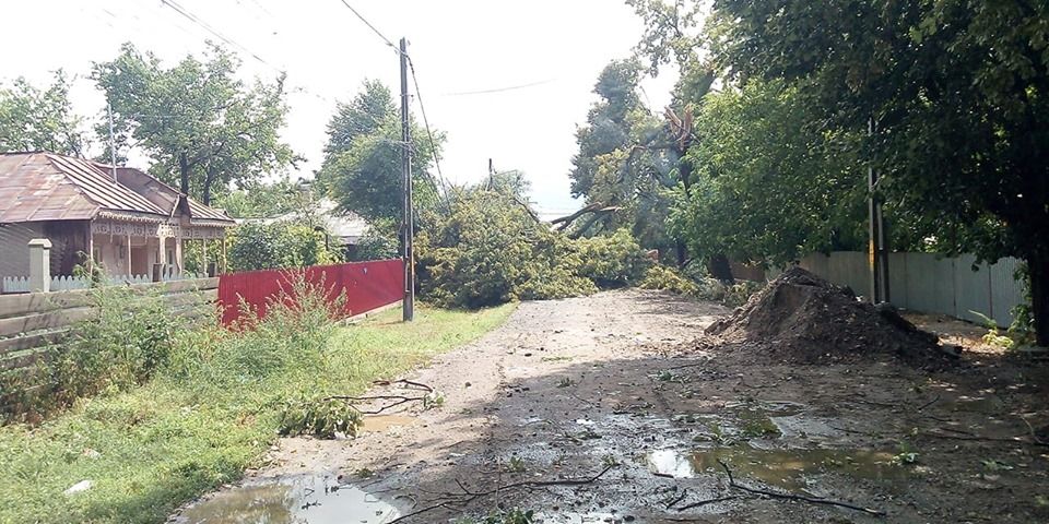 Furtuna a făcut ravagii în comuna brăileană Chiscani