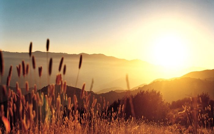 176,41 milioane euro au intrat în conturile României pentru fermieri și dezvoltarea satului românesc