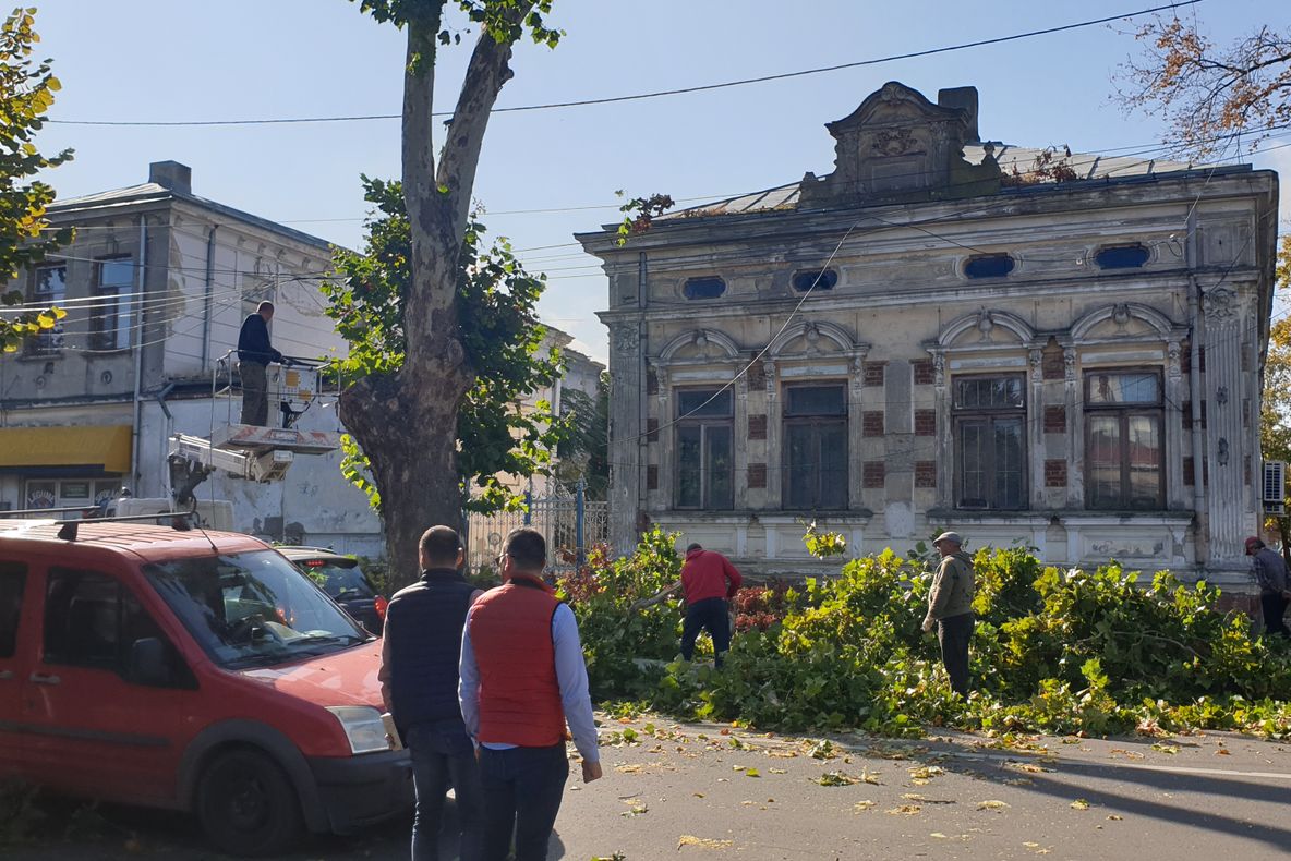 Trafic îngreunat pe ”Gării”! Se toaletează copacii!