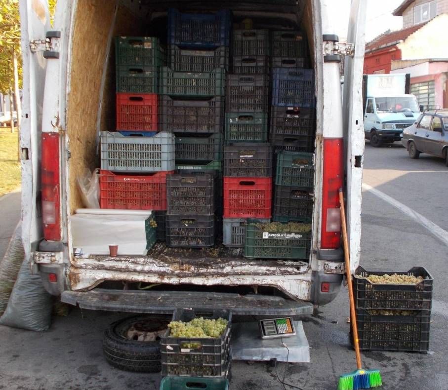 Sancționat cu amendă de 5000 de lei pentru că transporta 2 tone de struguri fără documente legale