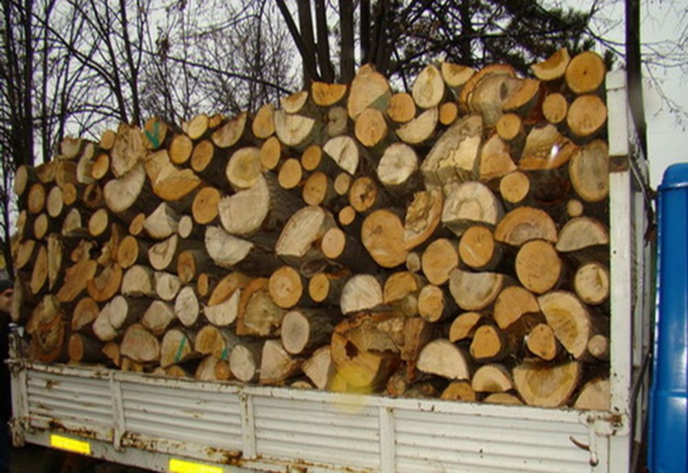 Cantitatea de lemne din mașină nu corespundea cu cea din acte