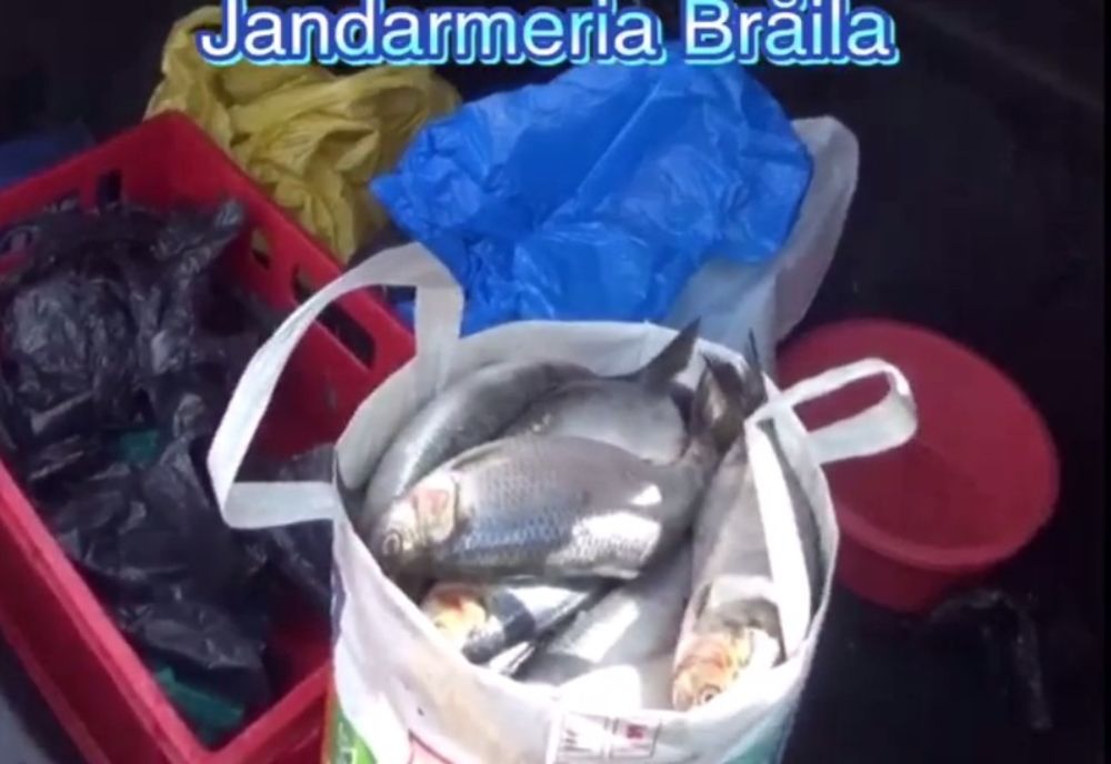 Depistat de jandarmi în timp ce vindea hering pe post de scrumbie