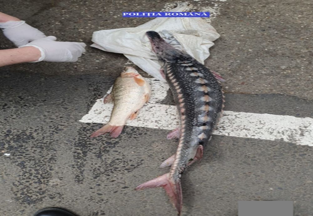 Acțiune de prevenire a faptelor ilegale în domeniul piscicol