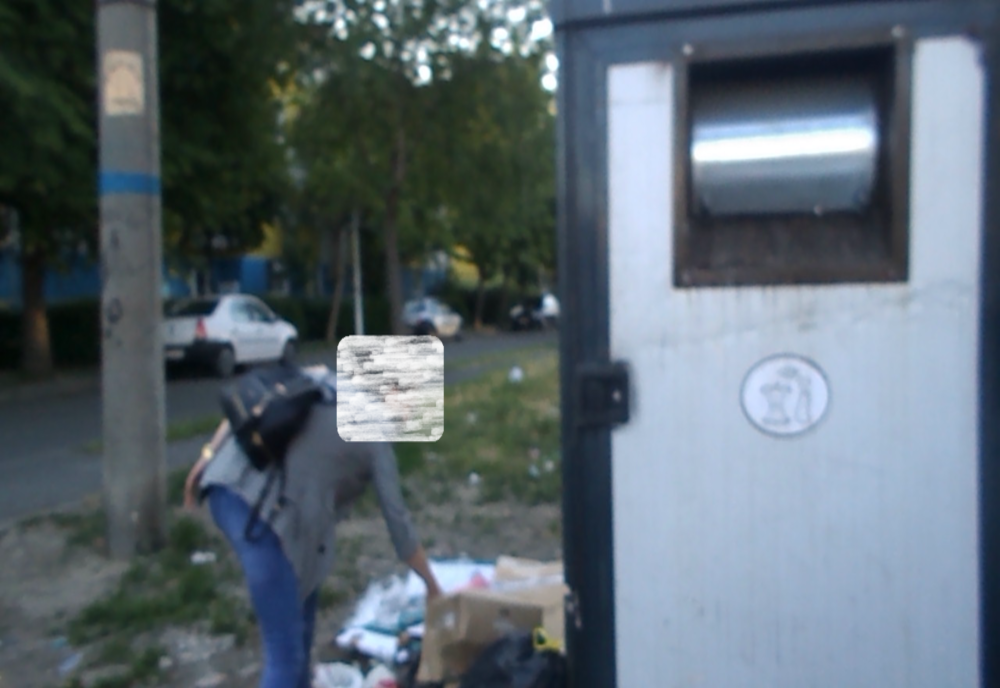 Sancționați pentru că au consumat semințe de floarea soarelui și au aruncat cojile pe jos 