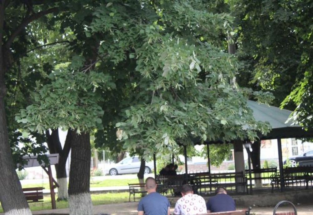 Conflict în zona parcului din Însurăței