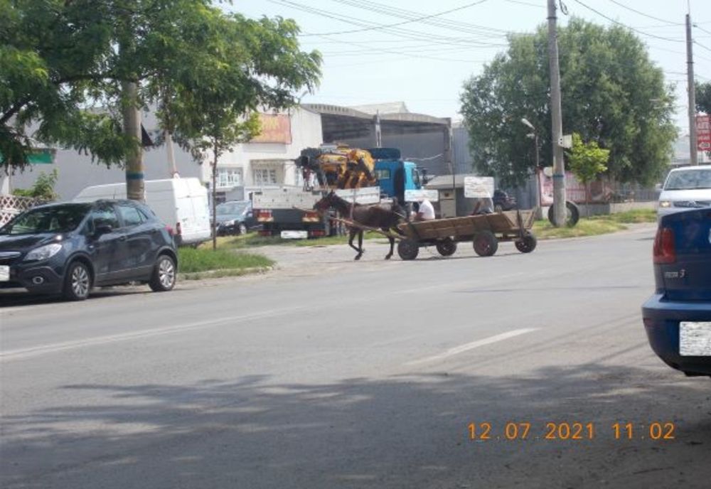 Polițiștii locali au aplicat mai multe sancțiuni contravenționale persoanelor surprinse încălcând prevederile în vigoare privind respectarea curățeniei pe domeniul public al municipiului Brăila