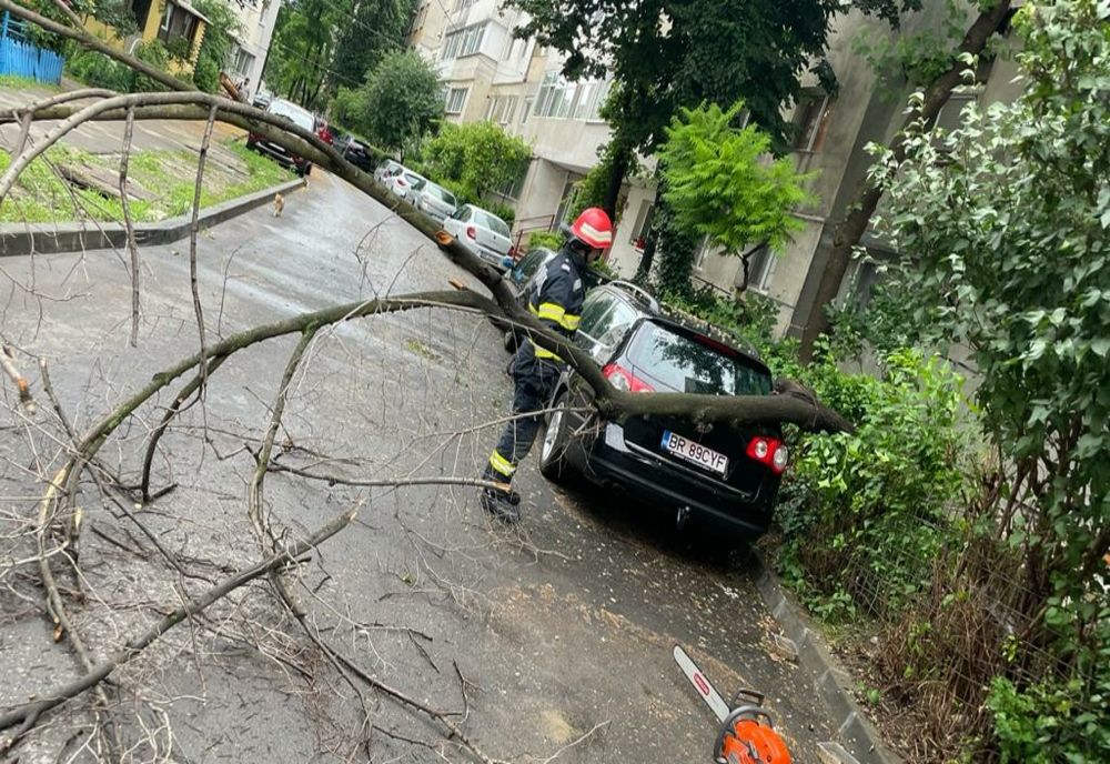 Efectele vijeliei și ploilor abundente. Copaci căzuți și curți inundate