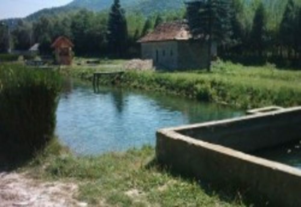 Peste 93 de mii de păstrăvi sacrificaţi într-o păstărvărie din județul Buzău