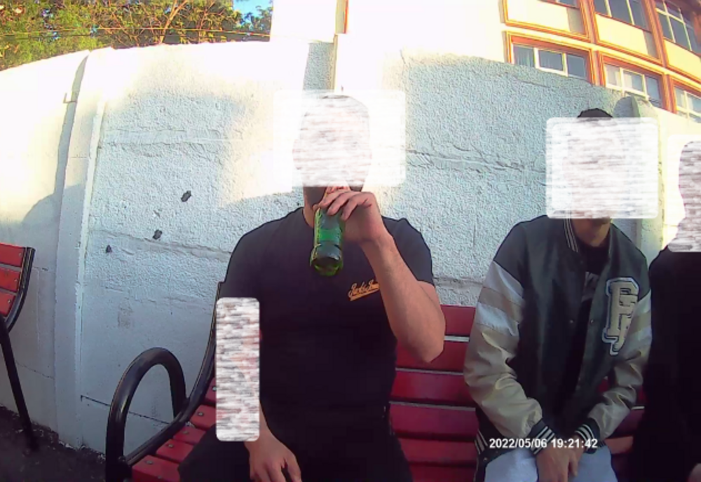 Poliția locală a sancționat 16 persoane pentru nerespectarea curățeniei pe domeniul public al municipiului Brăila