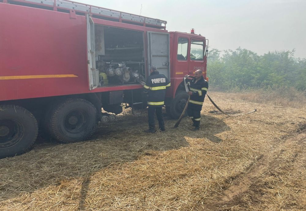 Incendiu de vegetatie uscată intr-o pădure proprietate privată