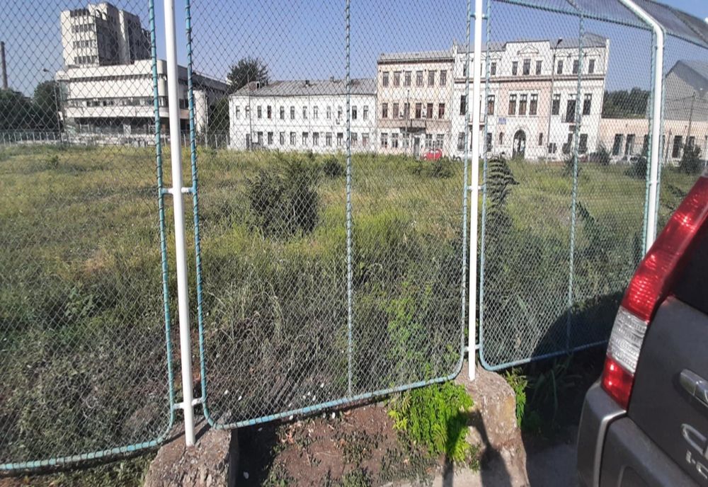 Poliția Locală Brăila a sancționat 6 persoane juridice și 8 persoane fizice care nu și-au curățat terenurile de ambrozie