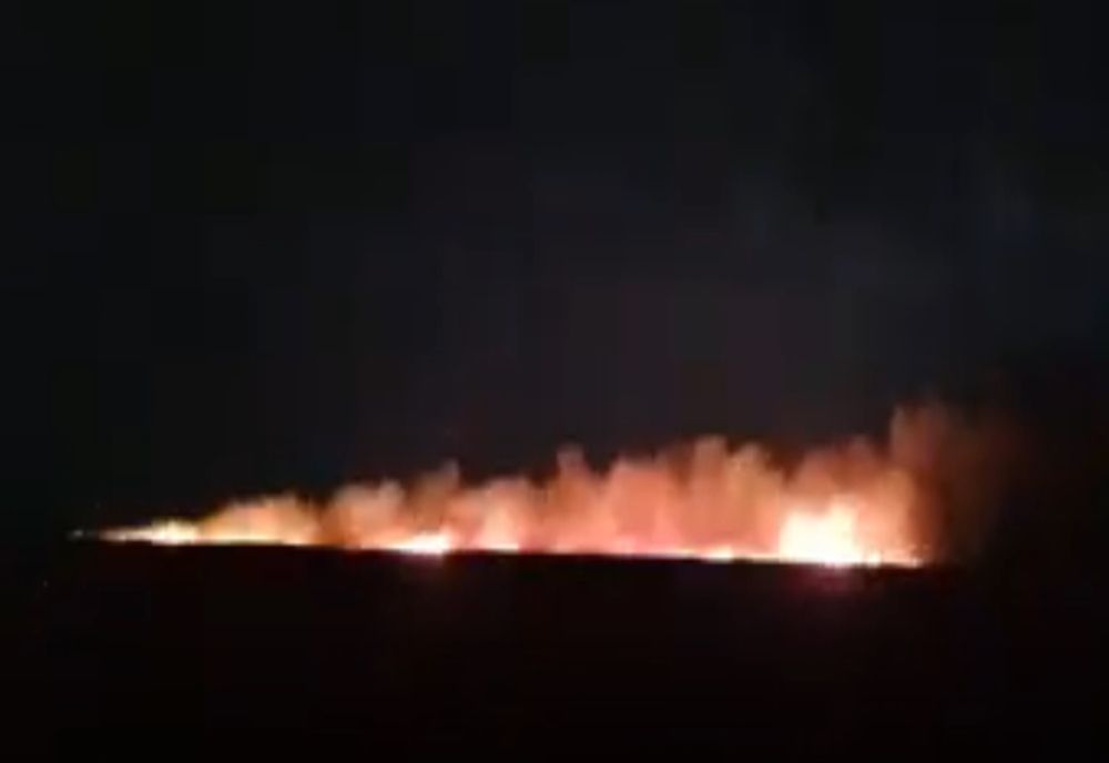Video: Incendiu de vegetație pe o suprafață de circa 60 de ha în zona localității Comăneasca