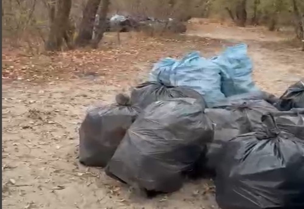 Video: Acțiune de ecologizare desfășurată de refugiații din Ucraina, pe malul drept al Dunării, în Brăila