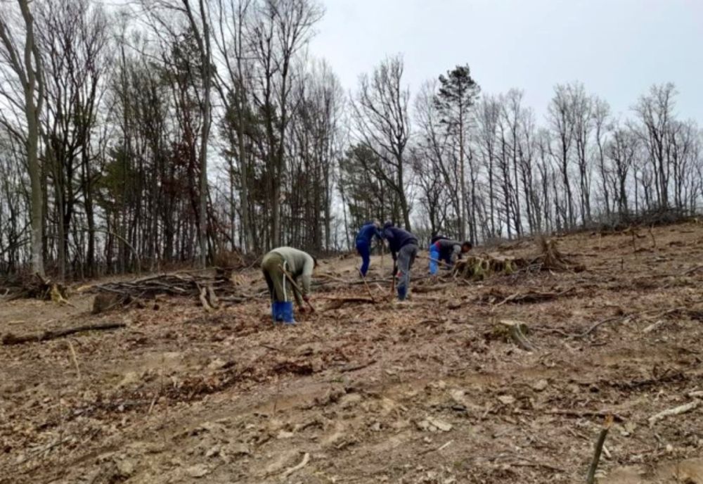 Întâlnire la Prefectura Brăila pe tema Campaniei Naționale de Împăduriri 2022-2026