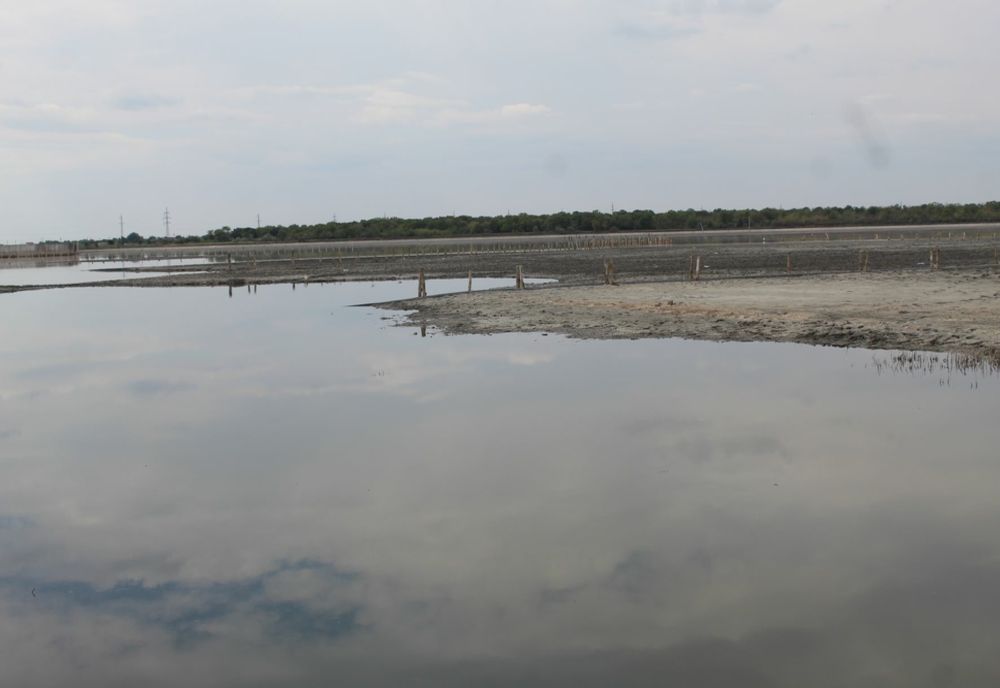 Femeie moartă, găsită plutind pe Lacu Sărat