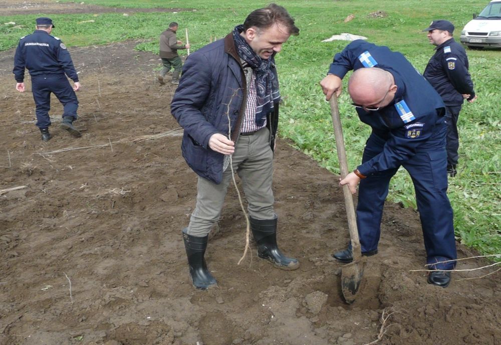 Aproape 2000 de metri pătrați împăduriți de jandarmii brăileni împreună cu reprezentanți ai Direcției Silvice