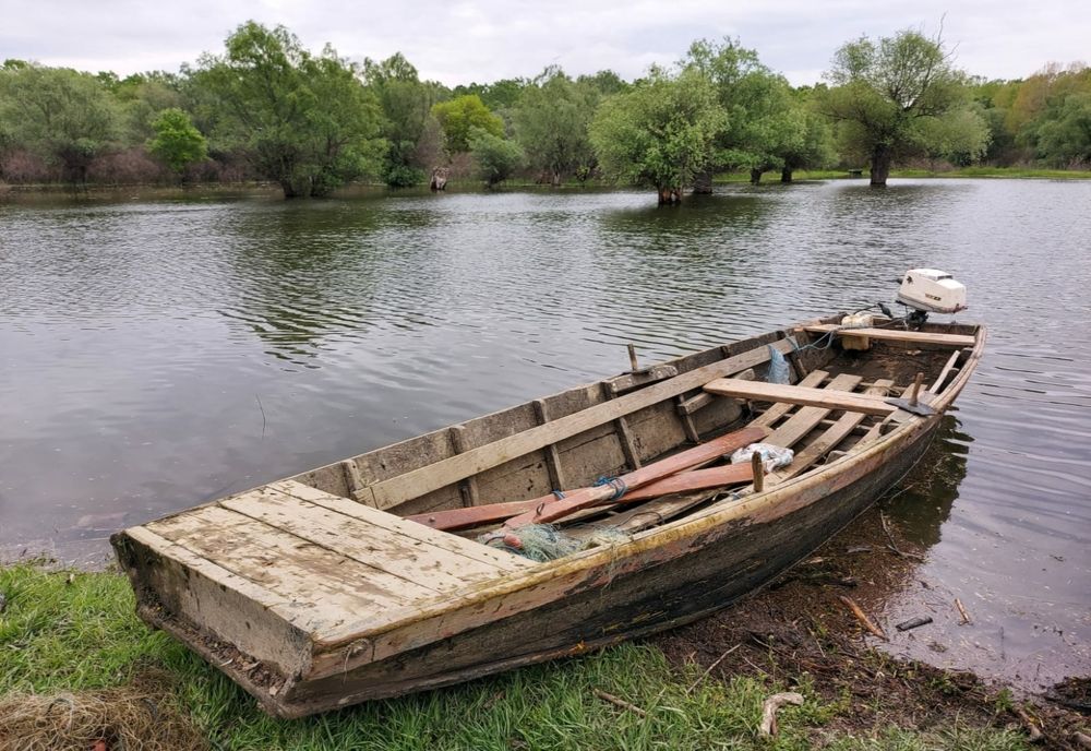 Video: Prinși la pescuit într-o arie protejată și în plină perioadă de prohibiție