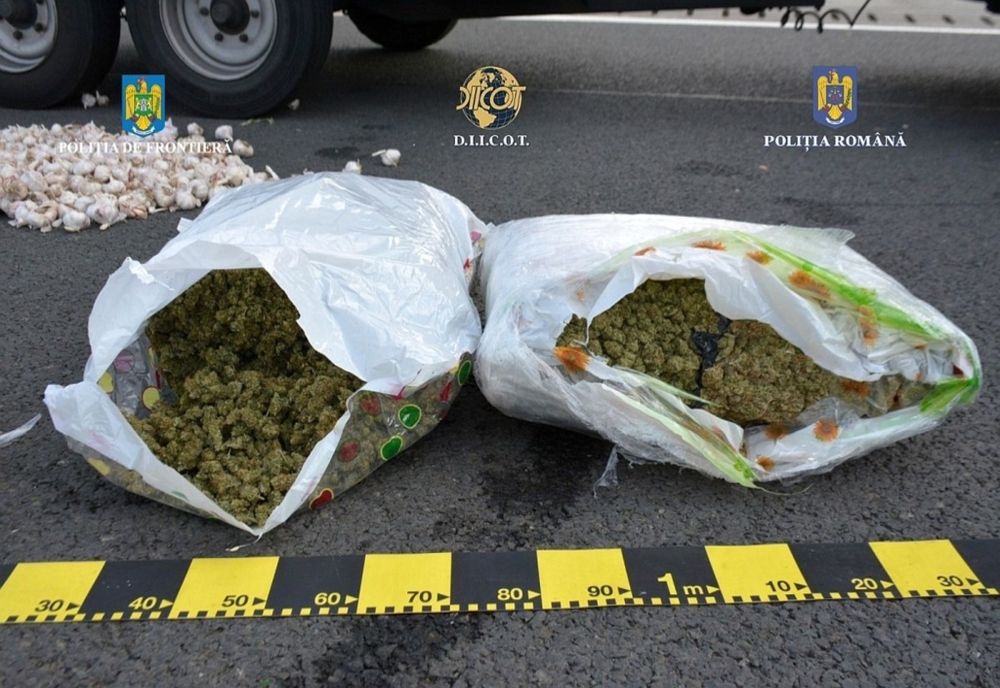 12 trimise în judecată pentru trafic de droguri și grup infracțional organizat