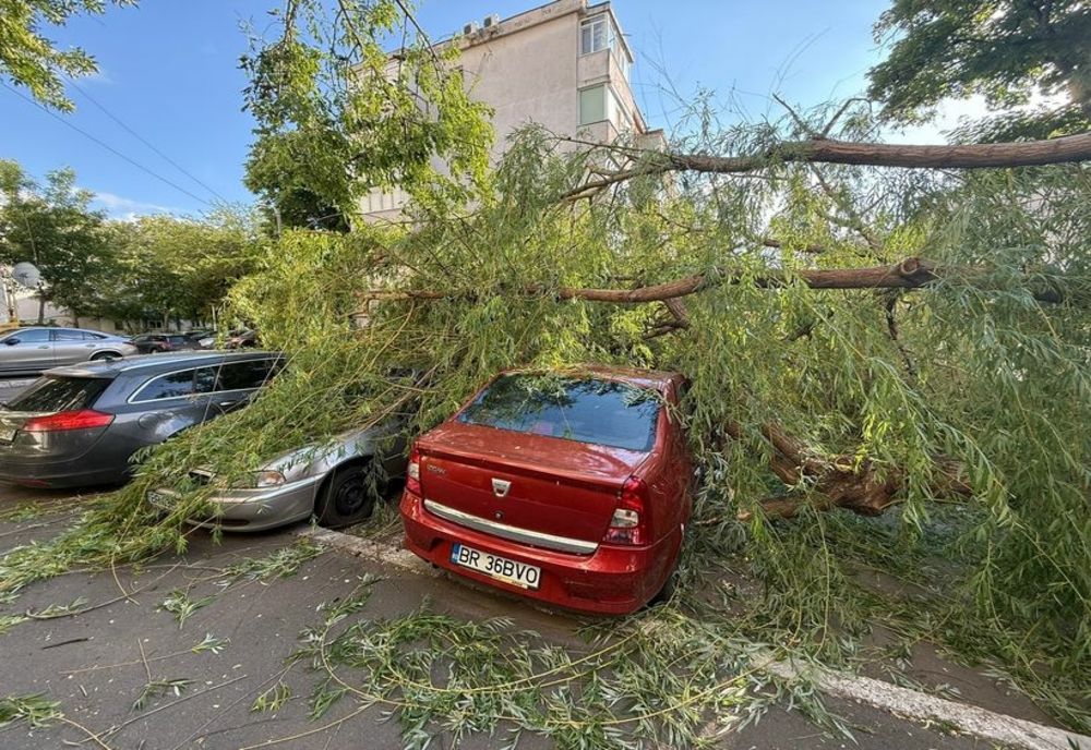 FEMEIE RĂNITĂ DE UN COPAC DOBORÂT DE VÂNT ÎN BRĂILA
