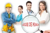 Cum se schimbă piața muncii din România: angajat sau independent?