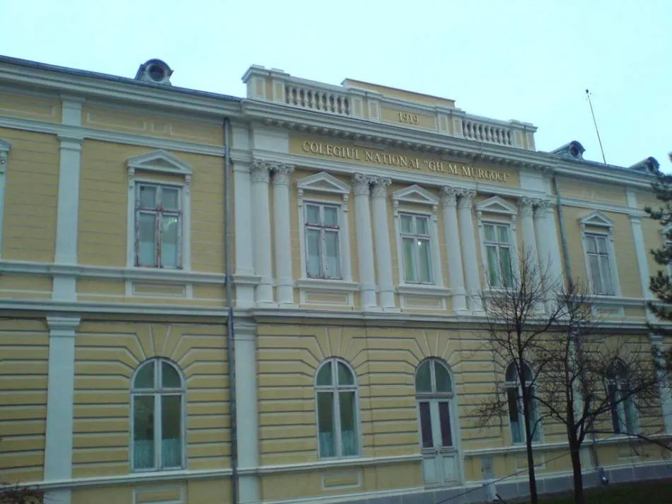 murgoci