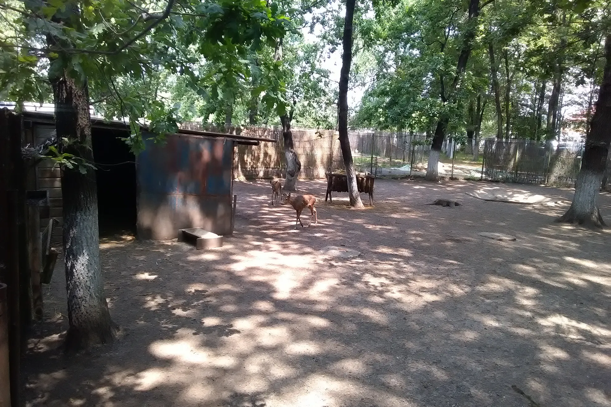 zoo br