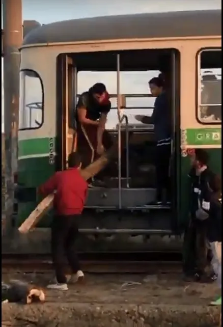 transport lemne